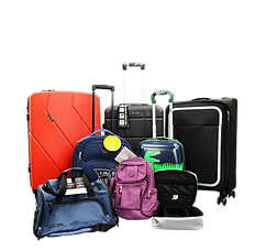 luggage.png